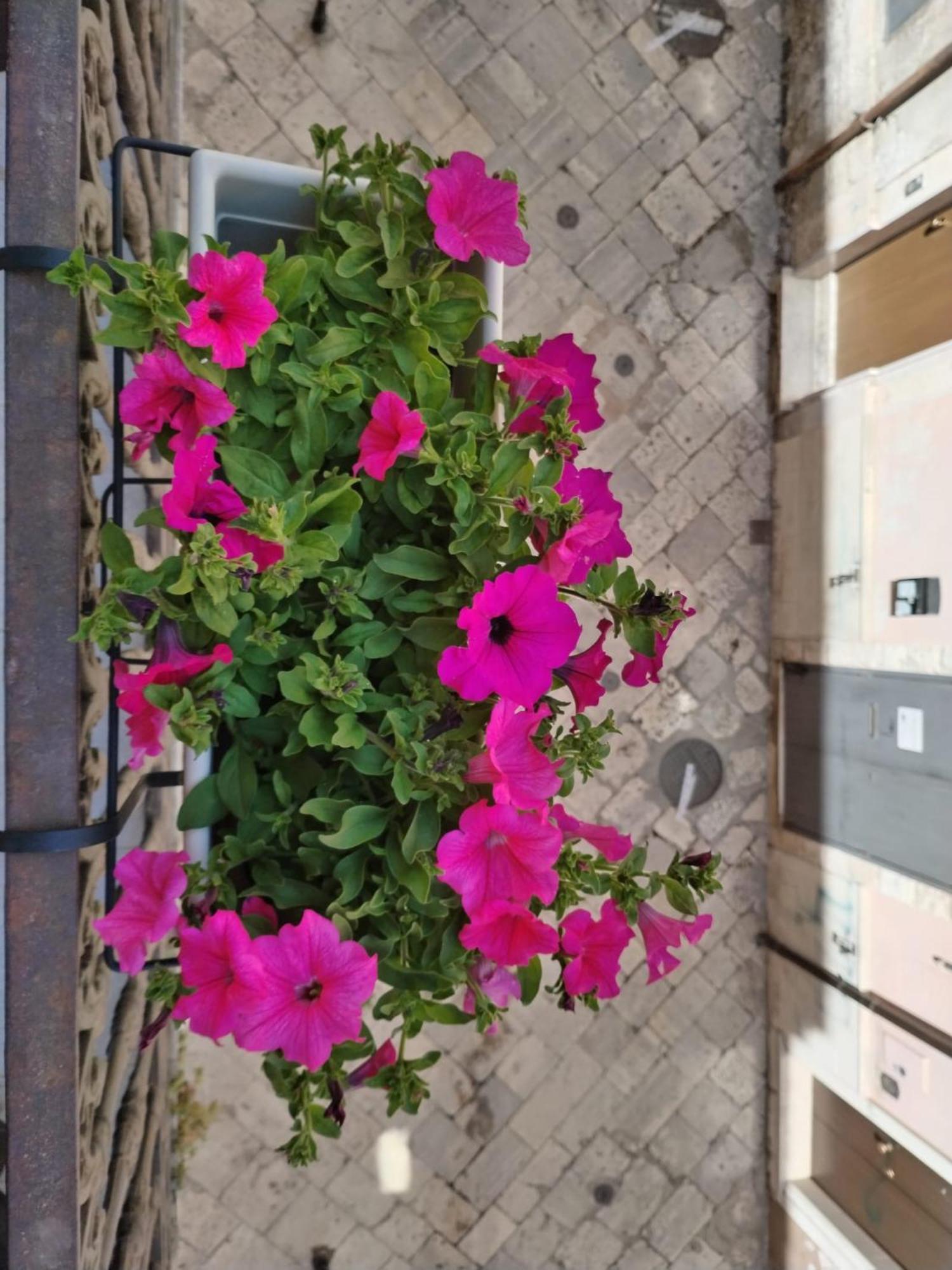 Happy House Salento Apartment ブリンディジ エクステリア 写真